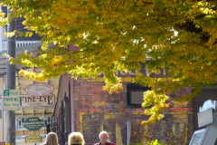 Leisurly walk on Main Street by the Visitor Center