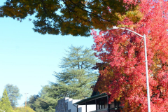 Palace and Provisions