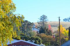 SutterCreek_Antiques