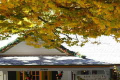 SutterCreek_BellaGrace