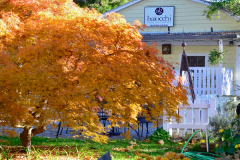 SutterCreek_Biaccchi