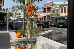 fall-across-bridge-2