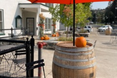 fall-barrel-umbrella-2