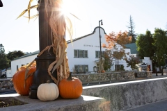 sutter-creek-photographer-zams022