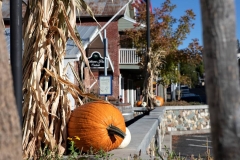 sutter-creek-photographer-zams028