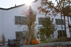 sutter-creek-photographer-zams032