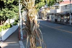 sutter-creek-photographer-zams054