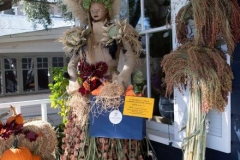 sutter-creek-scarecrow-zams003