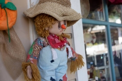 sutter-creek-scarecrow-zams010