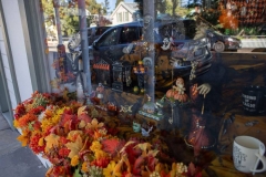 sutter-creek-scarecrow-zams013