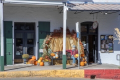 sutter-creek-scarecrow-zams017