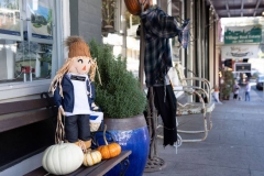 sutter-creek-scarecrow-zams019