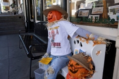 sutter-creek-scarecrow-zams023