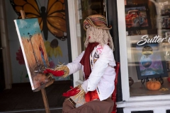 sutter-creek-scarecrow-zams030