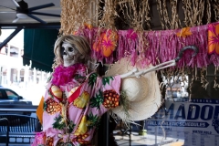 sutter-creek-scarecrow-zams034