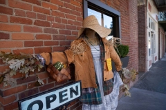 sutter-creek-scarecrow-zams036