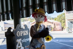 sutter-creek-scarecrow-zams038