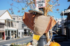 sutter-creek-scarecrow-zams044