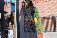 sutter-creek-scarecrow-zams059