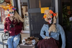 sutter-creek-scarecrow-zams070