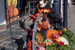 sutter-creek-scarecrow-zams072