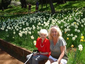 daffodil hill sutter creek ca