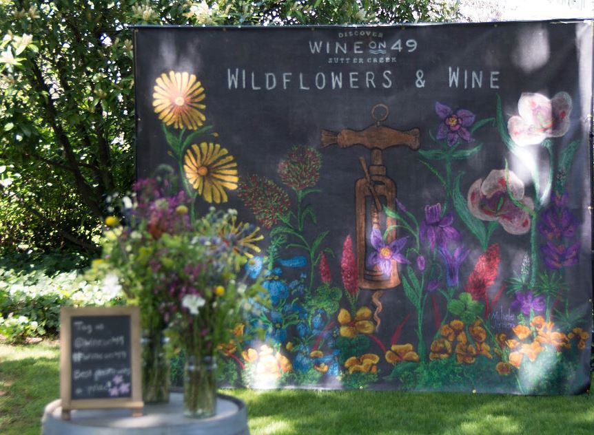 sutter creek wildflowers and wine event