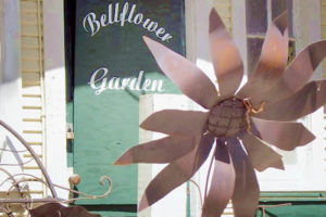 bellflower gardens amador city