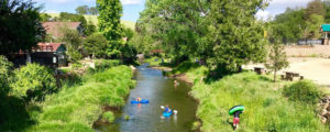 sutter creek things to do