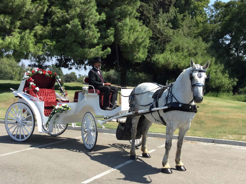 sutter creek mothers day carriage rides