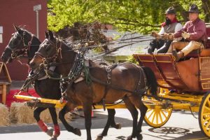 sutter creek heritage days with stage coach