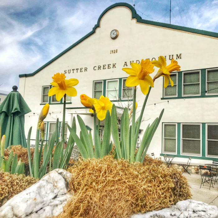 spring in sutter creek