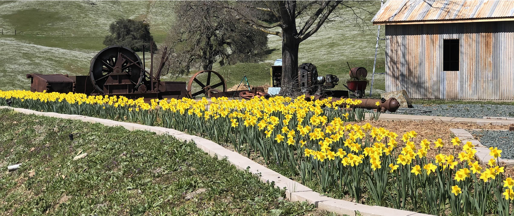 spring in sutter creek