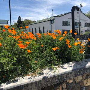 spring in sutter creek city hall