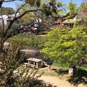 spring in sutter creek picnic area