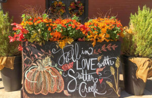fall in love with sutter creek