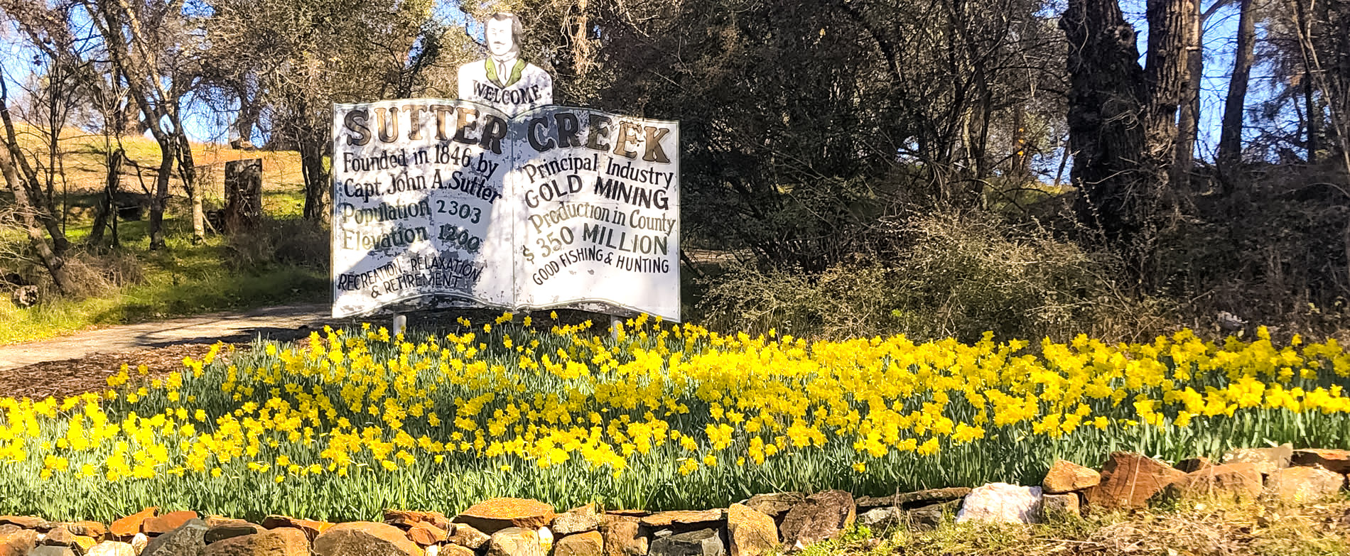 sutter creek sign with daffodils