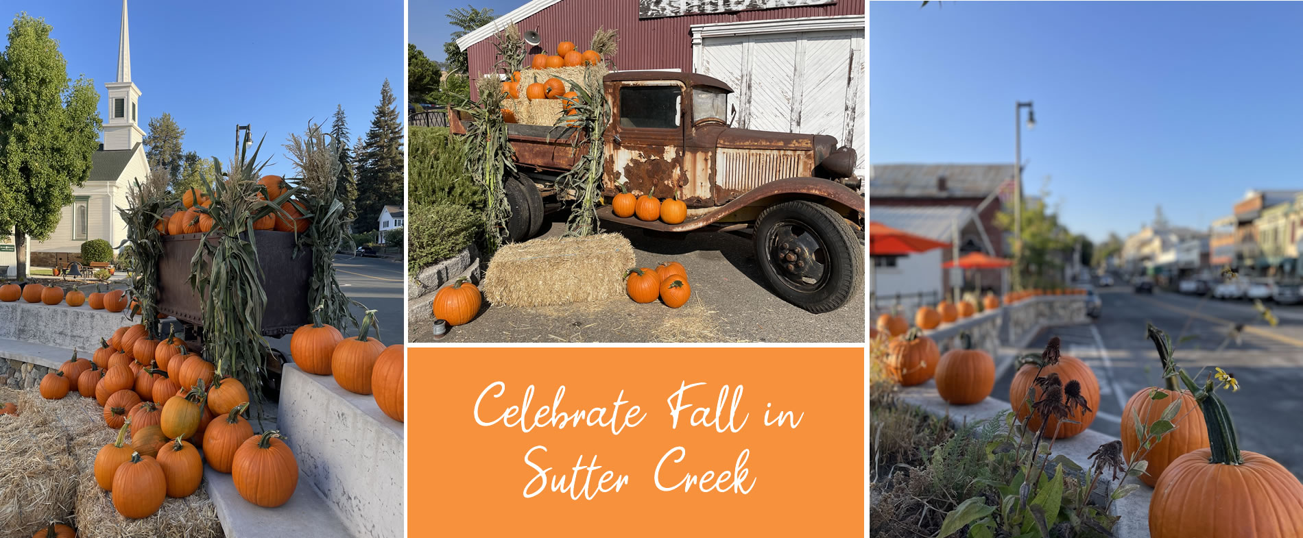 celebrate fall in sutter creek