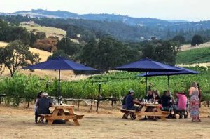 vneyards and picnic tables with people drinking socializing