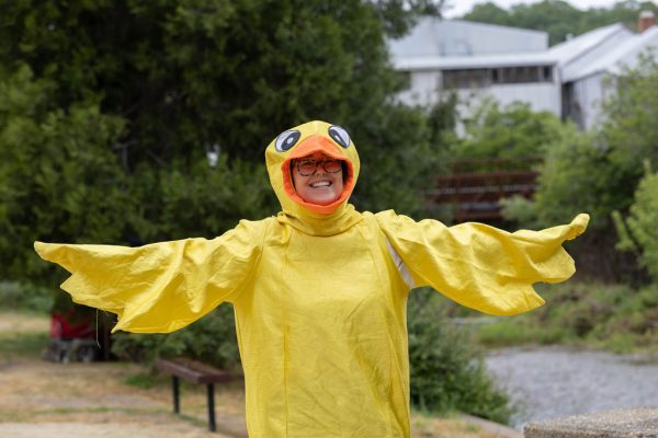 sutter creek duck races - photos by zams