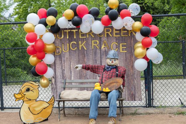 sutter creek duck races - photos by zams
