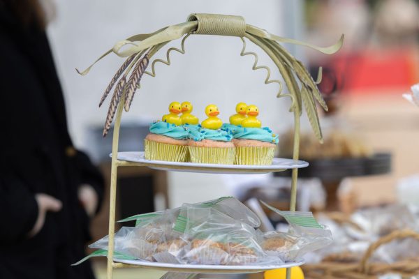 sutter creek duck races - photos by zams