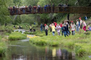 sutter creek duck races - photos by zams