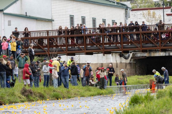 sutter creek duck races - photos by zams