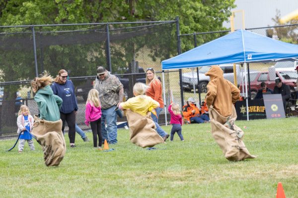 sutter creek duck races - photos by zams
