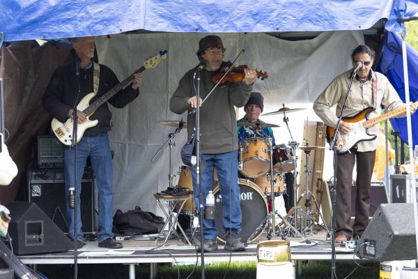 sutter creek duck races - photos by zams